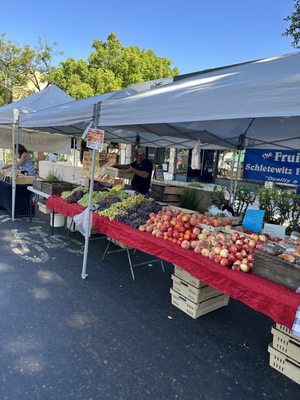Montrose Farmers Market by null