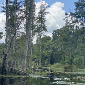 Cypress Gardens - Guided Boat Tour - Parks Near Me - Moncks Corner, South Carolina Cypress Gardens - Guided Boat Tour - Parks Near Me - Moncks Corner, South Carolina