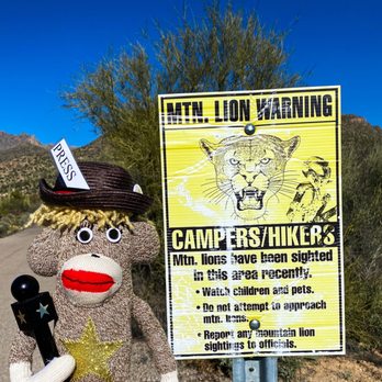 Sabino Canyon - Beware!! - Parks Near Me - Tucson, Arizona Sabino Canyon - Beware!! - Parks Near Me - Tucson, Arizona