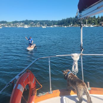 Sail Bainbridge - Paddle boarding with our lifeguard Nell - Boat Tours Near Me - Bainbridge Island, Washington Sail Bainbridge - Paddle boarding with our lifeguard Nell - Boat Tours Near Me - Bainbridge Island, Washington