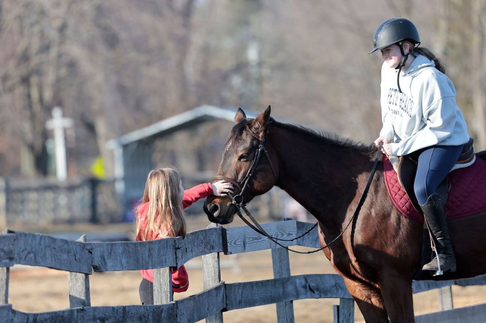 Social spots from Seaton Hackney Stables