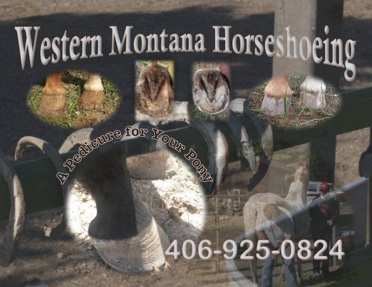 Western Montana Horseshoeing - equestrian in Missoula, MT