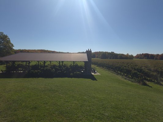 South River Vineyard by null