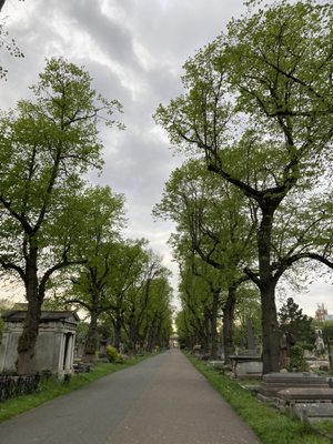 Brompton Cemetery by null
