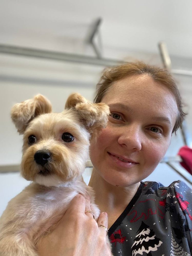 ROYAL BAY DOG GROOMING Updated September 2024 18 Photos 3398