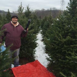 Triple Creek Farm and Nursery - Our perfect tree!!