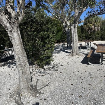 Bowman's Beach - Beaches Near Me - Sanibel, Florida