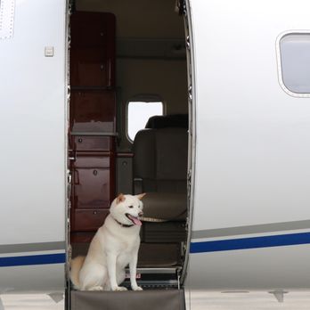 Vida Jets - Private Jet Charter Near Me - Boca Raton, Florida