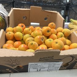 Mi Mexicana Market - Tejocote