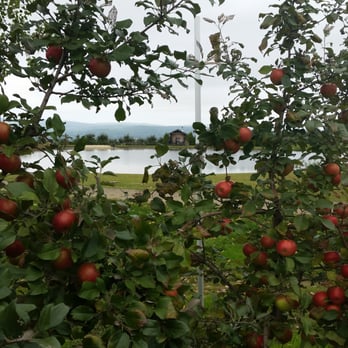 Alyson's Orchard - Guest Houses Near Me - Walpole, New Hampshire