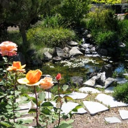 Blue Moon Garden and Nursery - Come on in and relax by the pond.