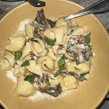 Tonino - Lumache with mushrooms - Italian Near Me - Jamaica Plain, Massachusetts Tonino - Lumache with mushrooms - Italian Near Me - Jamaica Plain, Massachusetts
