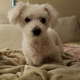 Sophie Sophie