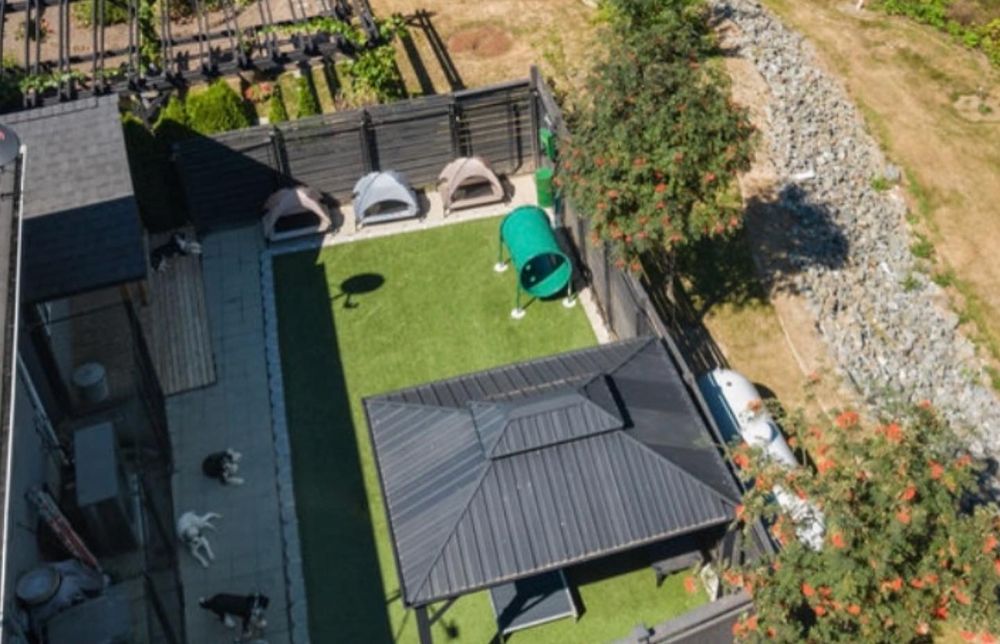 North Paw Pet Resort Image
