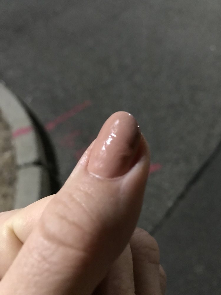 Expo Nails Logo