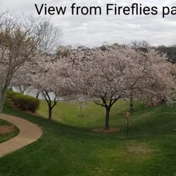 Blakeford At Green Hills - Spring time view from the patio.