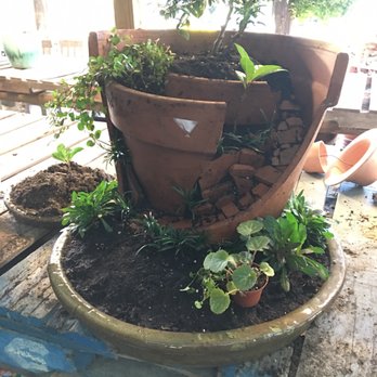 Maas Nursery - A fairy garden - Nurseries & Gardening Near Me - Seabrook, Texas Maas Nursery - A fairy garden - Nurseries & Gardening Near Me - Seabrook, Texas