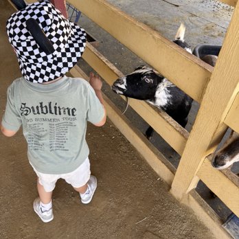 River Street Ranch - Petting Zoos Near Me - San Juan Capistrano, California River Street Ranch - Petting Zoos Near Me - San Juan Capistrano, California