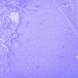 Colored hue on all of the developed photos.