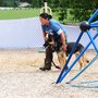 Doglandia Training