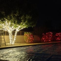 Lite Me Up Decorators - Trees & Bushes