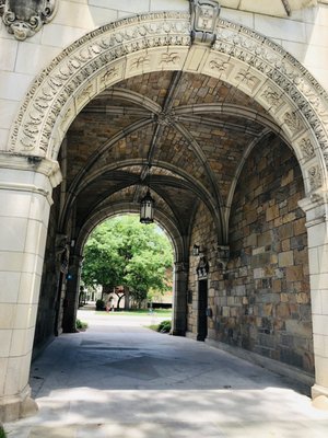 University of Michigan by null