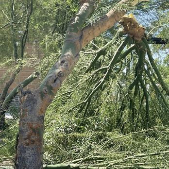 JunkBull Removal - Now offering Monsoon/storm debris clean up. - Junk Removal & Hauling Near Me