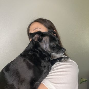 Niki's Place - Mass removal from left side of the face the day of surgery I had brought him home. - Veterinarians Near Me - Gilbert, Arizona