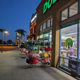 Exterior sign of Dollar Tree