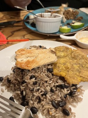 Havana Cafe by null