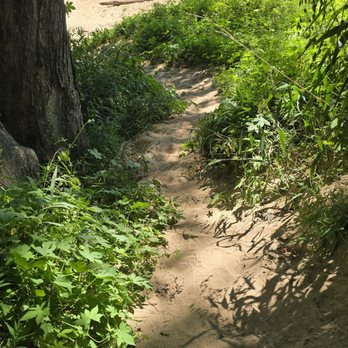 Castlewood State Park - Parks Near Me - Ballwin, Missouri