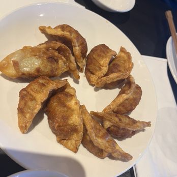 Jin Jin - Fried Dumplings - Korean Near Me - Las Vegas, Nevada Jin Jin - Fried Dumplings - Korean Near Me - Las Vegas, Nevada