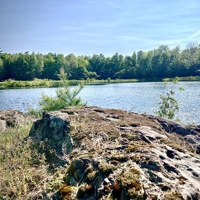 TWIN PONDS LODGE - Updated January 2026 - 96 York Town Rd, Albion