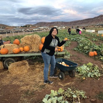 Staheli Family Farm - Challenge Courses Near Me - Washington, Utah Staheli Family Farm - Challenge Courses Near Me - Washington, Utah