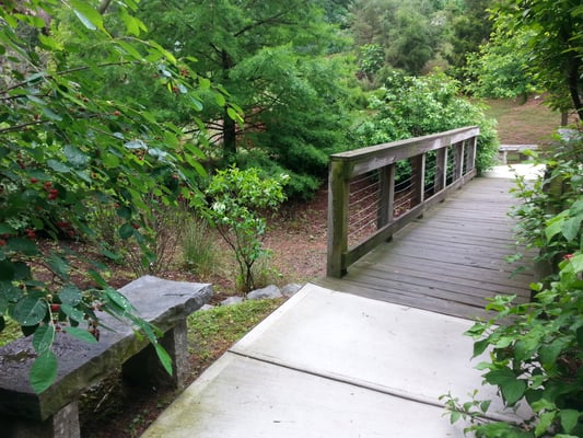 Cabbagetown Park by null