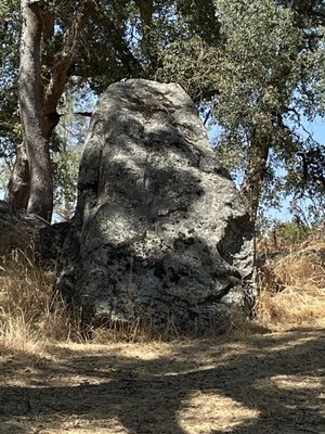 Maidu Museum & Historic Site by null