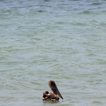 Causeway Islands Park - Beaches Near Me - Sanibel, Florida