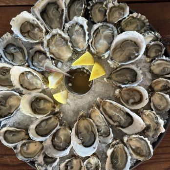 Taylor Shellfish Farms - Seafood Markets Near Me - Bow, Washington Taylor Shellfish Farms - Seafood Markets Near Me - Bow, Washington