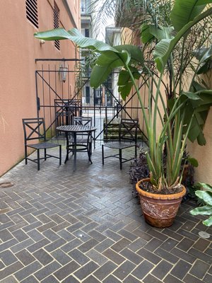 Dauphine Orleans Hotel by null