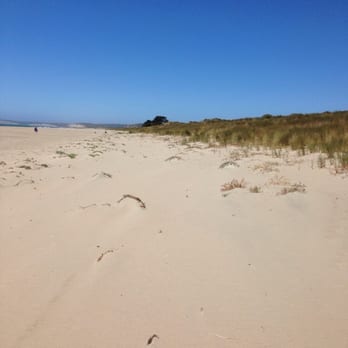 Limantour Beach - Beaches Near Me - Point Reyes Station, California Limantour Beach - Beaches Near Me - Point Reyes Station, California