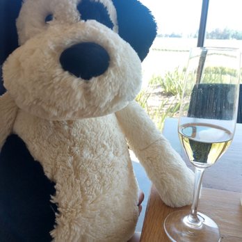 Mumm Napa - DoggieBear loves his bubbles. - Wine Tasting Room Near Me - Rutherford, California Mumm Napa - DoggieBear loves his bubbles. - Wine Tasting Room Near Me - Rutherford, California