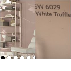 Sherwin-Williams Paint Store - I'm being color blinded. Is that the same color? They said it is.