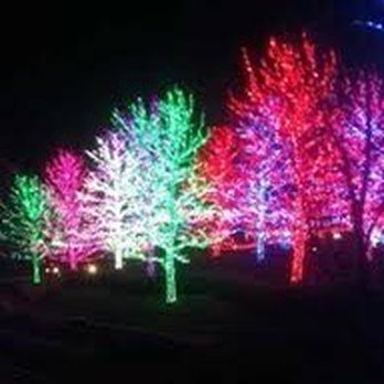 Light Up Shephedsville - Holiday Decorations Near Me - Shepherdsville, Kentucky