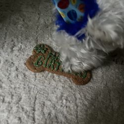 Treats Unleashed - Birthday bone