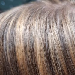 Sage Kids Salon - Sage Family Foil Weave Highlights!