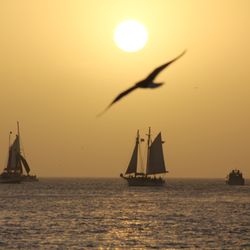 Key West Key - Sunset from Mallory Square area.