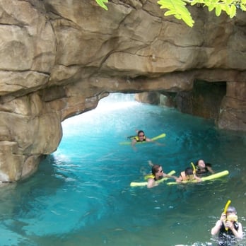 Discovery Cove - Amusement Parks Near Me - Orlando, Florida