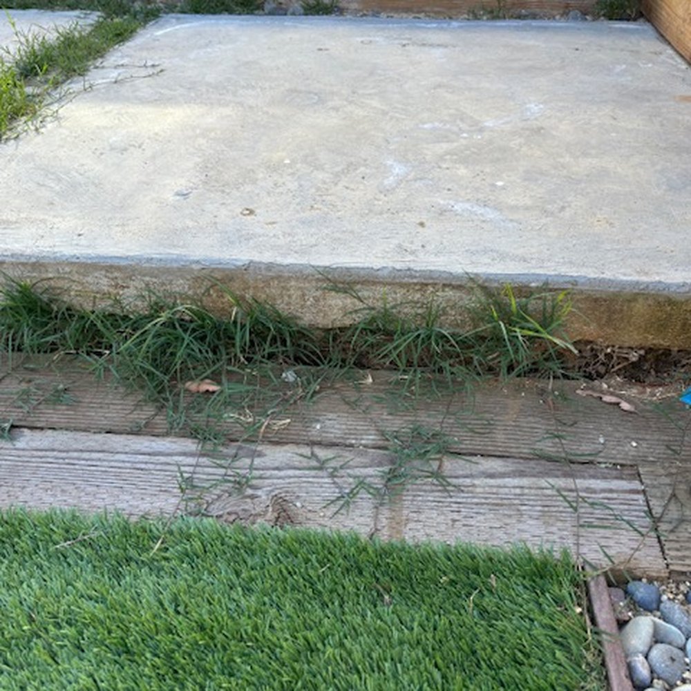 The Standard Design Group Nurseries - Yard is still exposed and incompelte - Nurseries & Gardening Near Me - North Hollywood, California