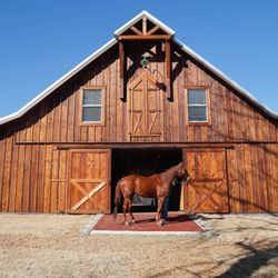 Oxford Treatment Center - Equestrian Center at Oxford Treatment Center