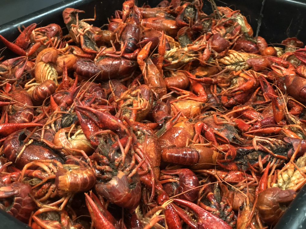 LOUISIANA CRAB SHACK Updated June 2024 28 Photos 1325 W